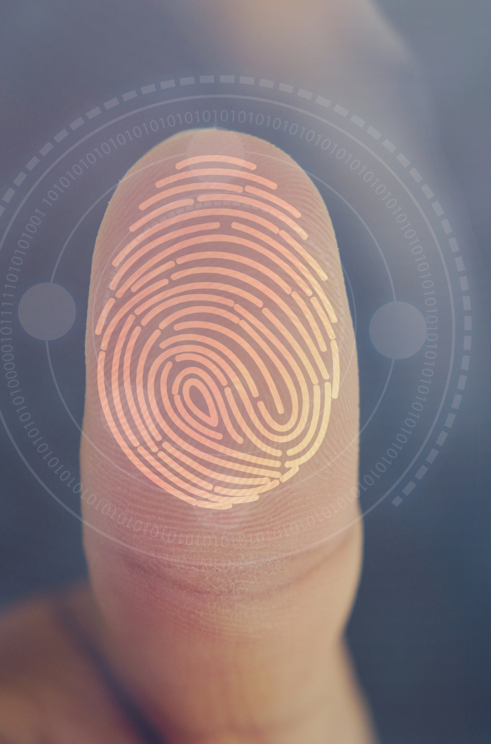 Infraestructura e Ingeniería de Seguridad