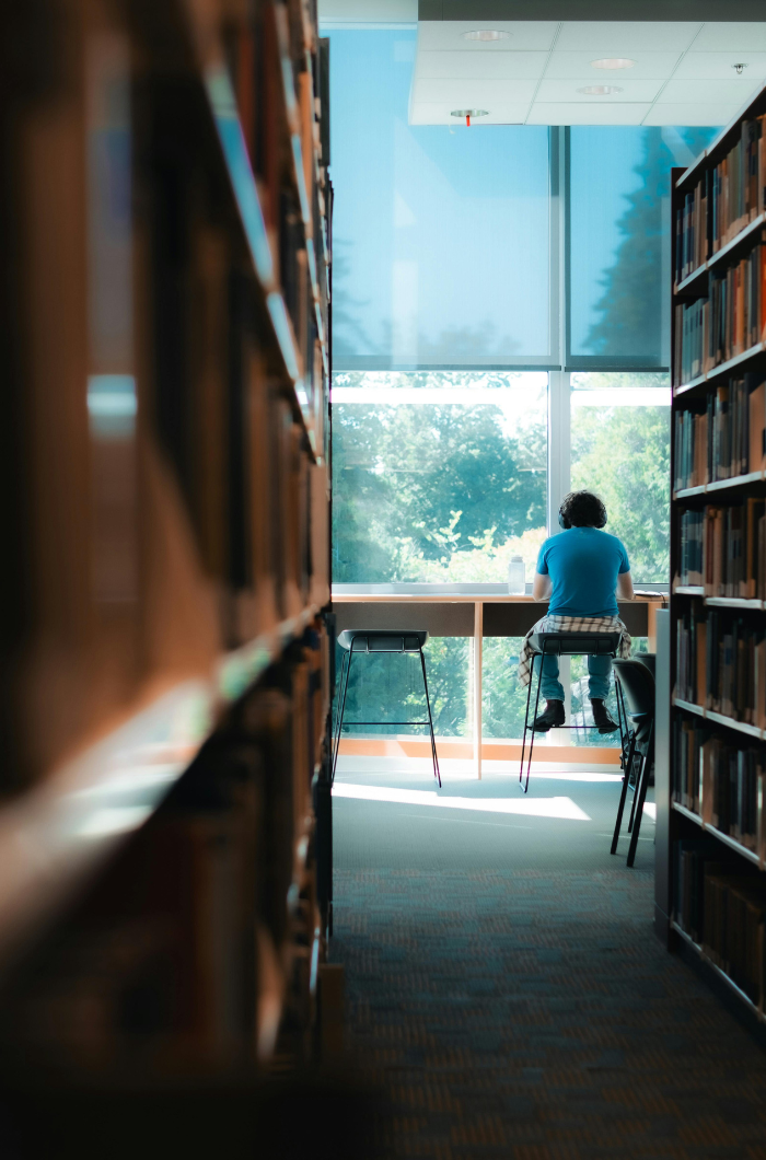 Desarrollo Ejecutivo