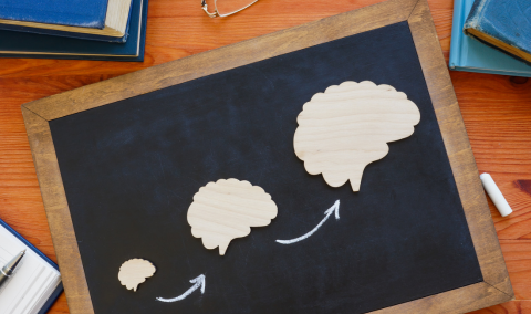 Aprendizaje contínuo